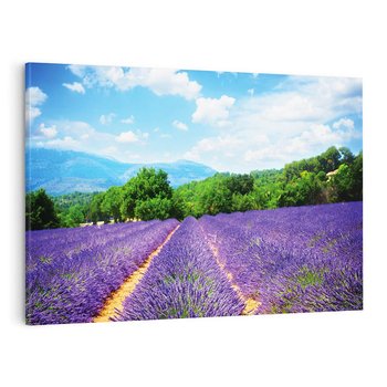 Obraz na płótnie 120x80 - Prowansalska Lawenda - lawenda, prowansja