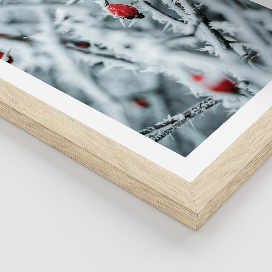 Plakat w ramie 30x40 - Zima na Gałęziach - zima, oszronione gałęzie - rama drewno