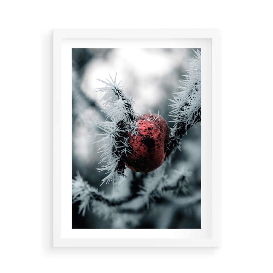 Plakat w ramie 50x70 - Chwila Zimowego Uroku - zima, ośnieżona gałązka - rama biała