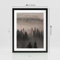 Plakat w ramie 40x50 - Mglista Opowieść Lasu - las, mgła - rama czarna