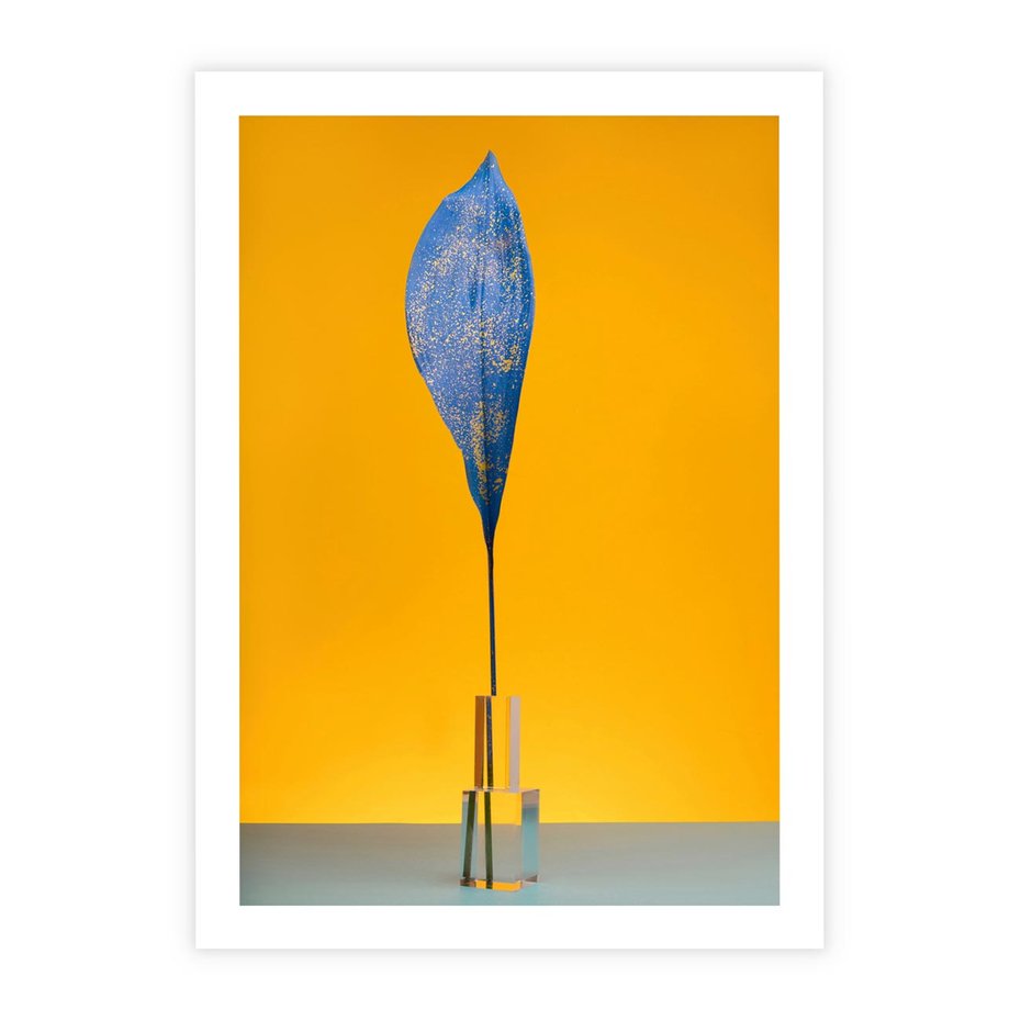 Plakat bez ramy 50x70 - Niebiańskie liście - liść, liście