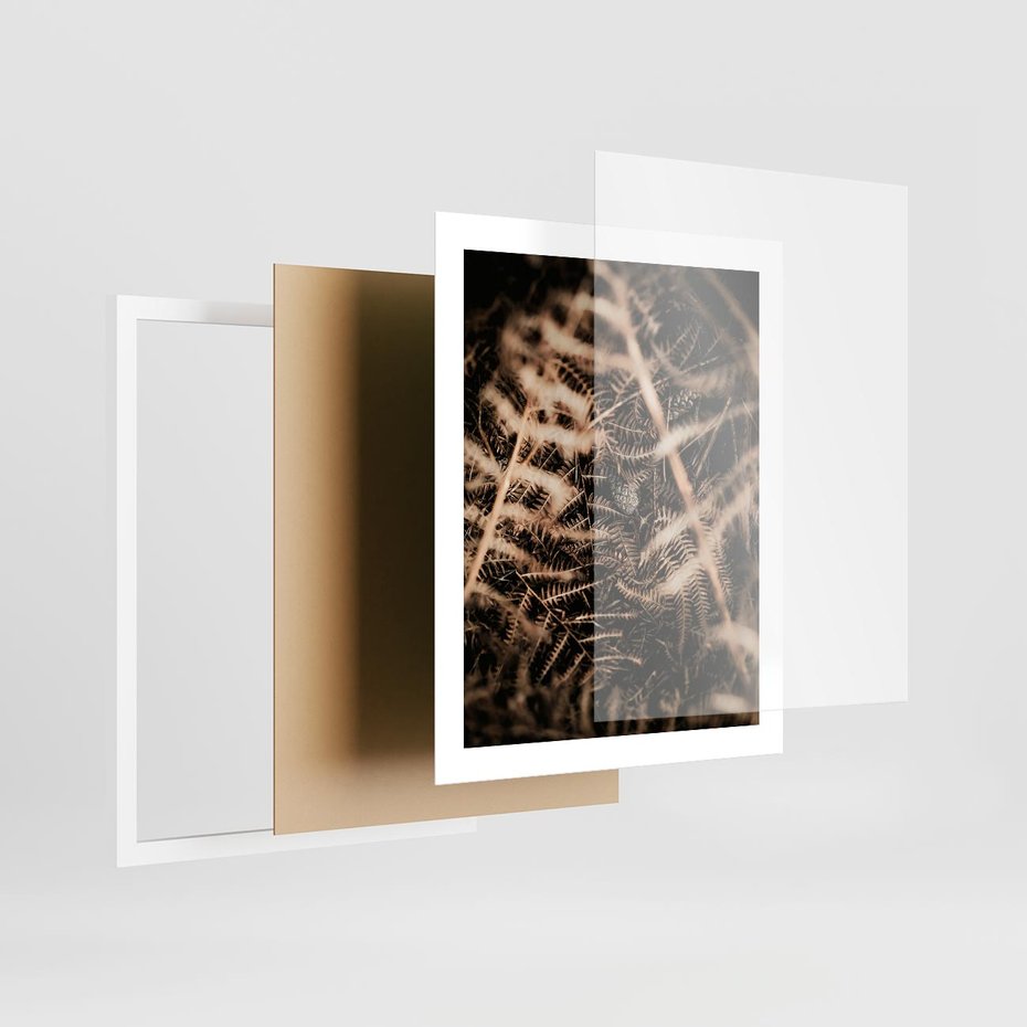 Plakat w ramie 40x50 - Liście i Paprocie - suche liście, paprocie - rama biała