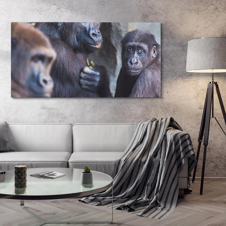 Obraz na płótnie 140x70 - Małpy w ich naturalnym środowisku - małpy, szympansy