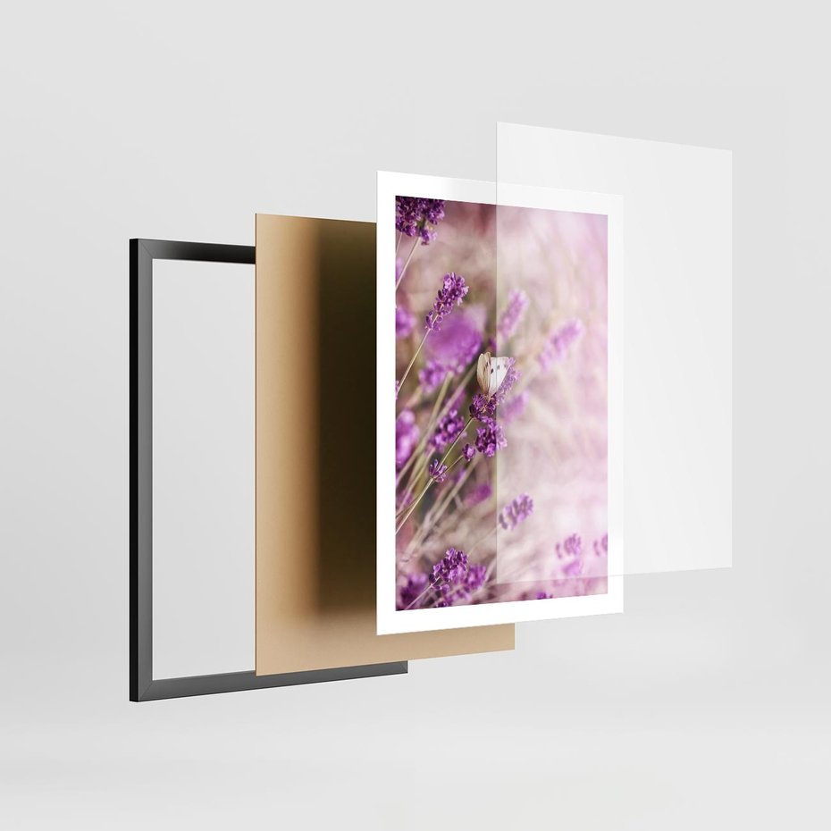 Plakat w ramie 50x70 - Majestat lawendy: fioletowe pola - lawenda, fiolet - rama czarna