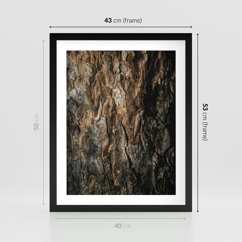 Plakat w ramie 40x50 - Tekstura Drewna: Zbliżenie - zbliżenie na pień drzewa, tekstura - rama czarna