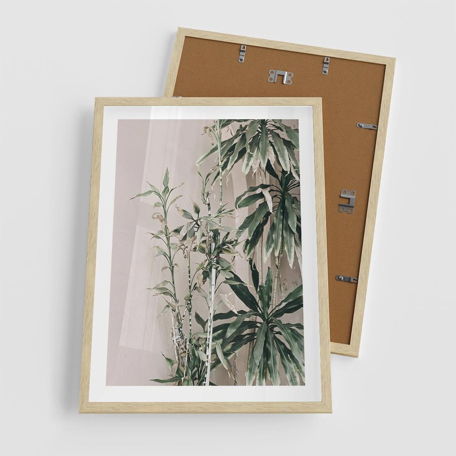 Plakat w ramie 50x70 - Egzotyczna Kompozycja - liście, rośliny tropikalne na tle ściany - rama drewno