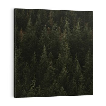 Obraz na płótnie 80x80 - Ciemny las iglasty - las, iglasty