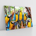 Obraz na płótnie 120x80 - Kolorowa parada papug - papuga, papugi