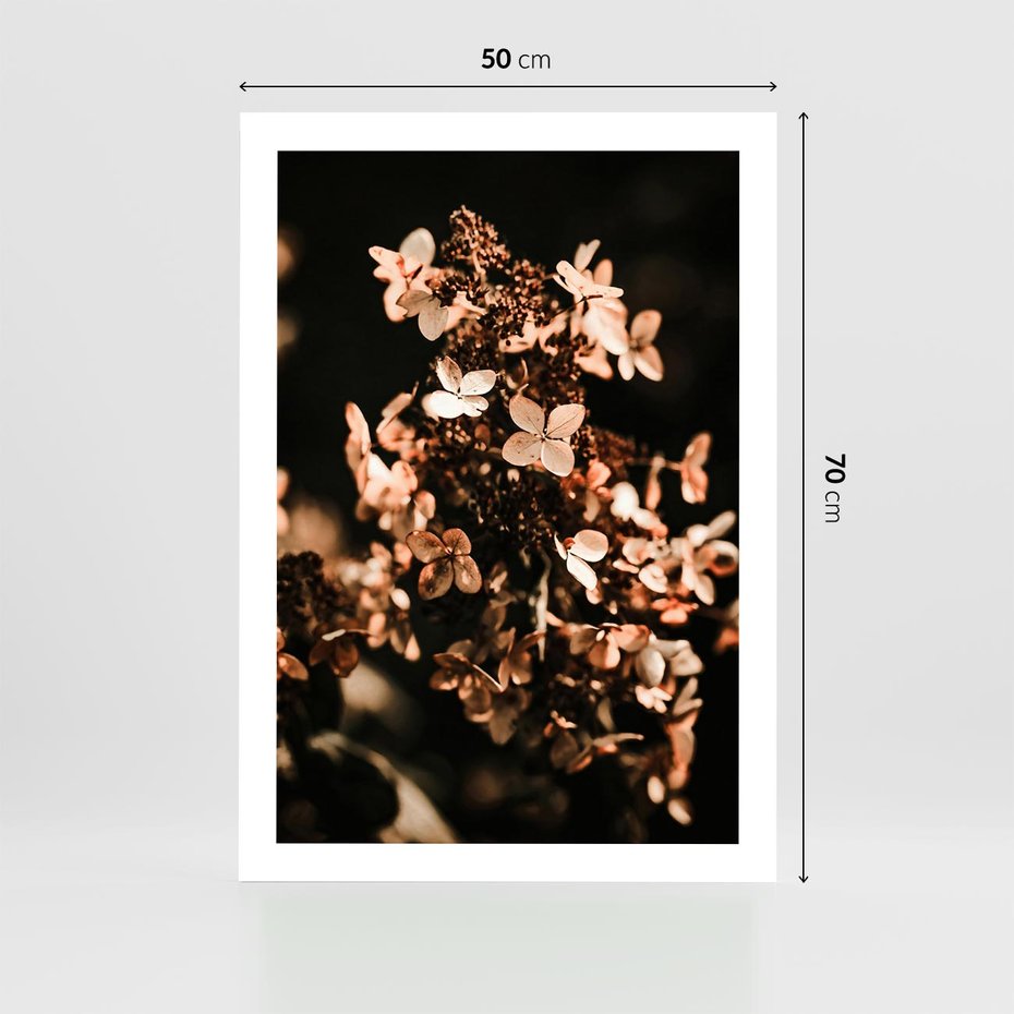 Plakat bez ramy 50x70 - Hortensja - Suchy Kwiat w Sztuce - hortensja, suchy kwiat