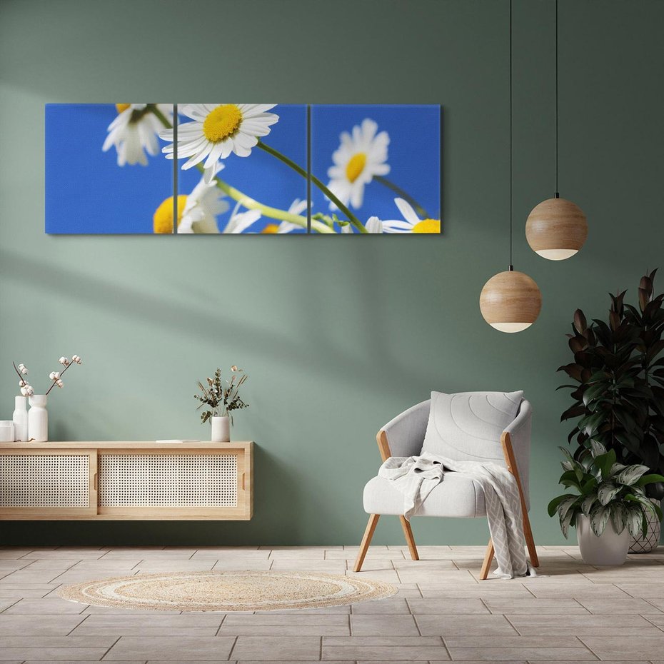 Obraz na płótnie 150x50 - Stokrotkowe pola - stokrotki, kwiaty