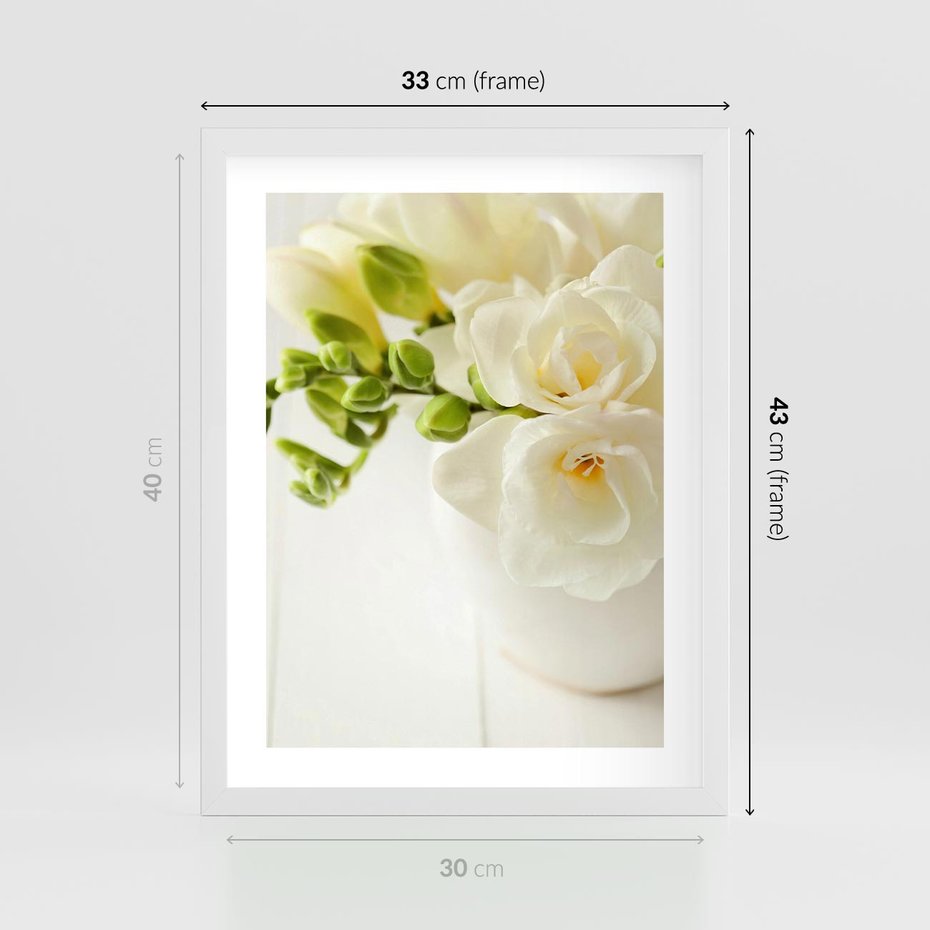 Plakat w ramie 30x40 - Subtelność białych frezji - frezja, białe - rama biała