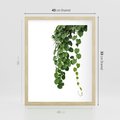 Plakat w ramie 40x50 - Świeżość Natury - liście, zielone - rama drewno