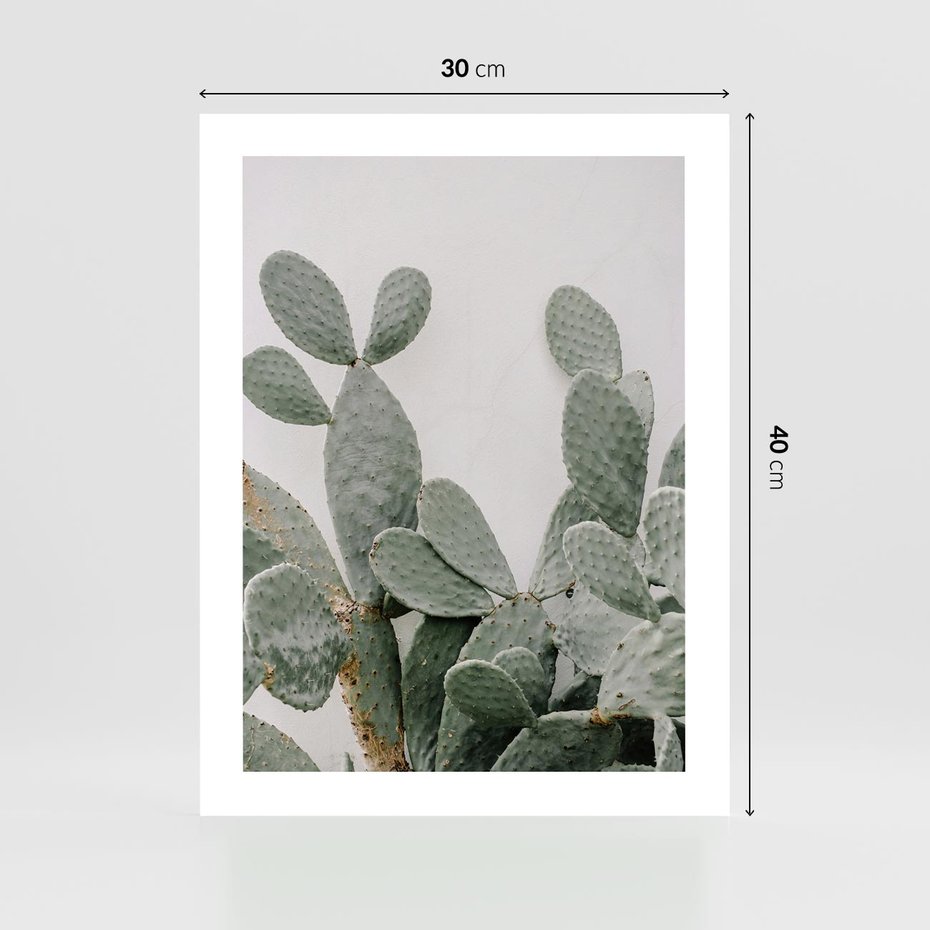 Plakat bez ramy 30x40 - Imponujący Kaktus - duży kaktus, opuncja