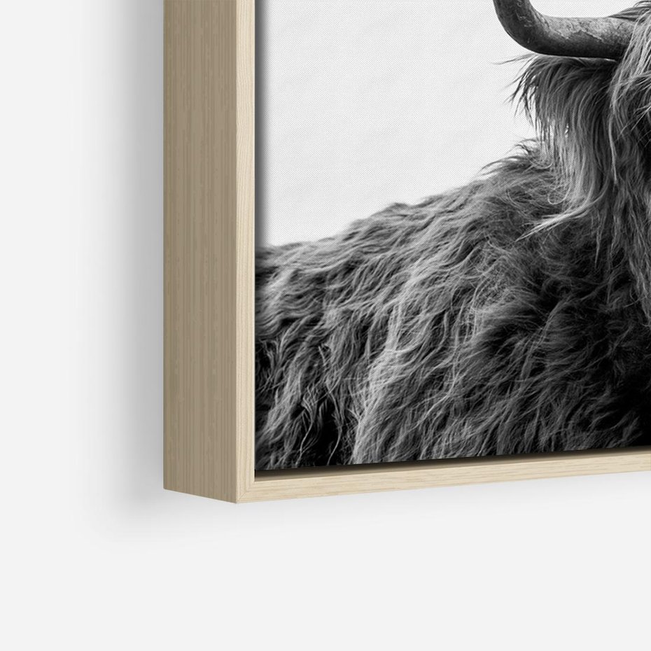 Obraz w ramie 120x80 - Moc i Spokój - amerykańskie bydło, byk - rama drewno