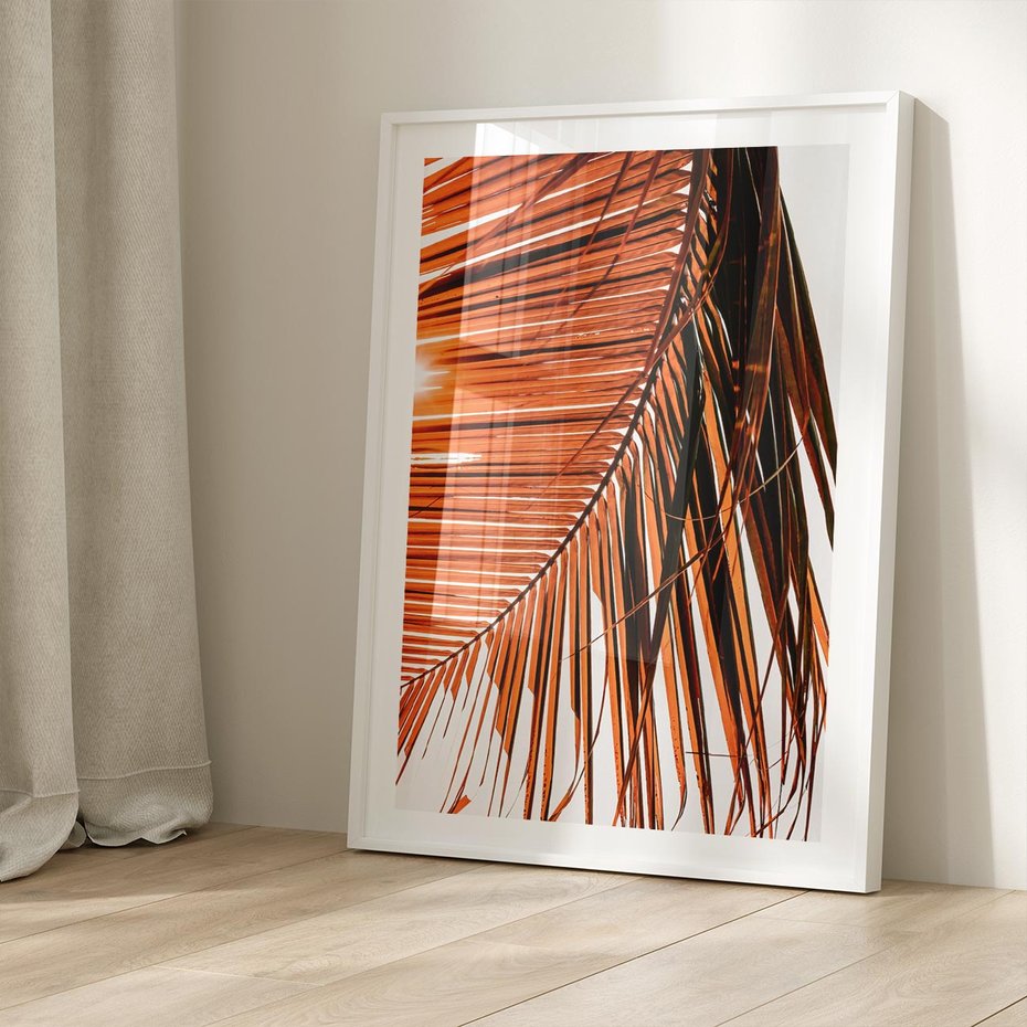 Plakat w ramie 40x50 - Słońce na Palmie - palma, promienie słońca - rama biała