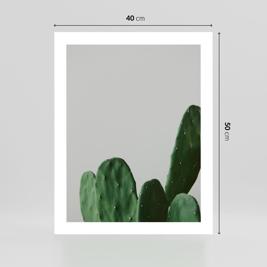 Plakat bez ramy 40x50 - Majestatyczne Wysokości - kaktusy, liście