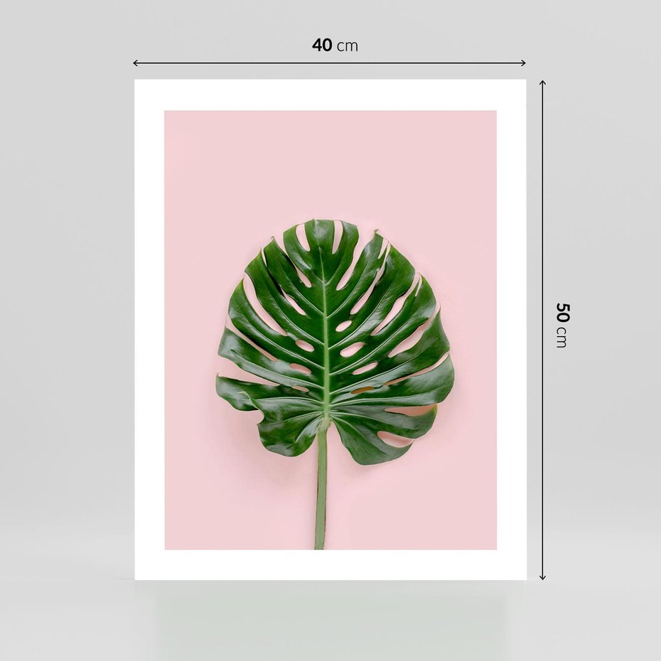 Plakat bez ramy 40x50 - Egzotyczna Roślinność - liście, monstera