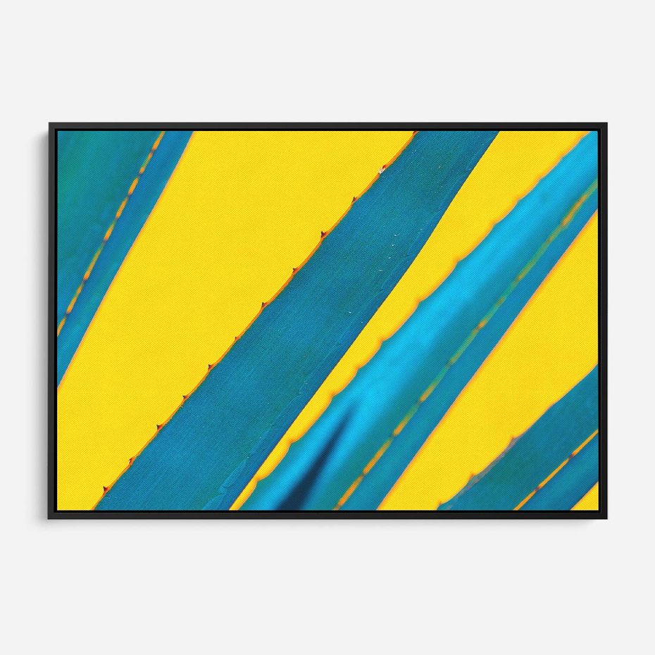 Obraz w ramie 100x70 - Świeżość Natury - aloes, liście - rama czarna