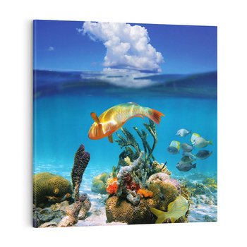 Obraz na płótnie 70x70 - Podwodna rafa koralowa: kolorowy oceanowy świat - rafa, koralowa