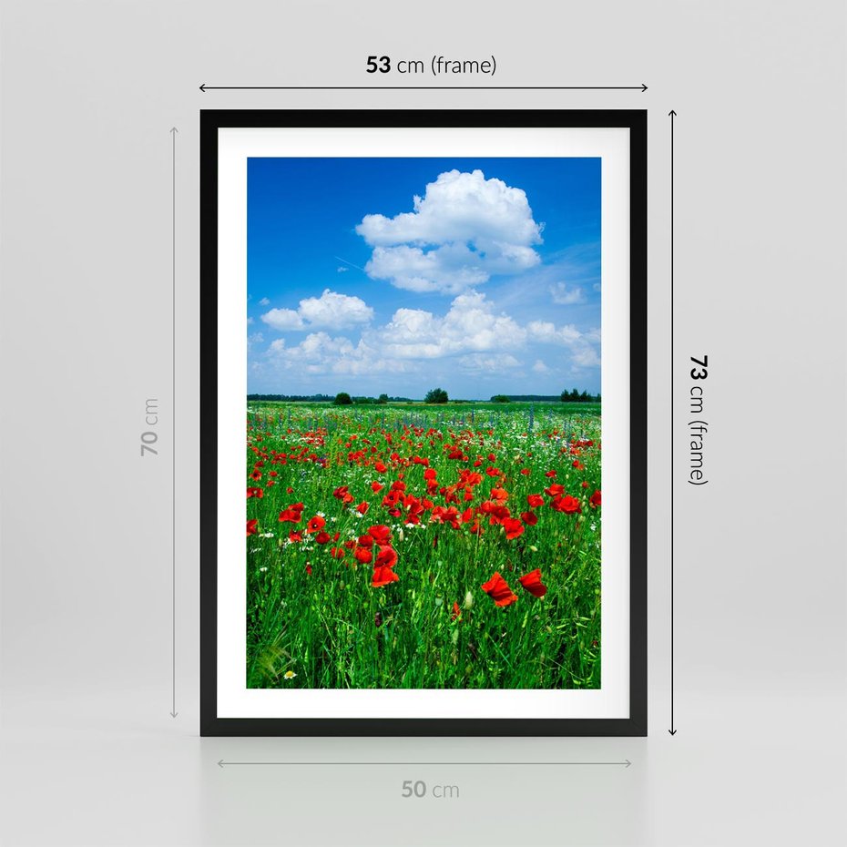 Plakat w ramie 50x70 - Kolorowa łąka pełna maku - łąka, maki - rama czarna