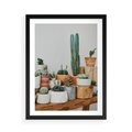 Plakat w ramie 50x70 - Kaktusowa Galeria w Doniczkach - kaktusy w doniczkach, fotografia - rama czarna