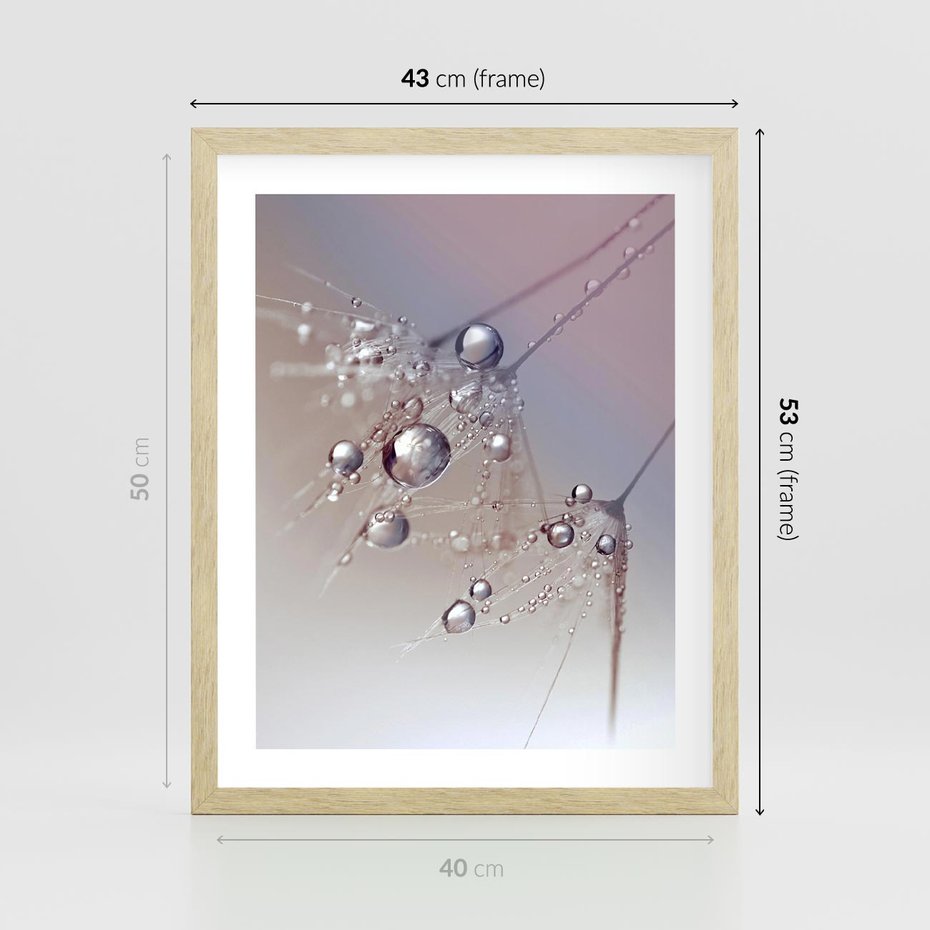 Plakat w ramie 40x50 - Delikatne Natchnienie - krople, dmuchawce - rama drewno