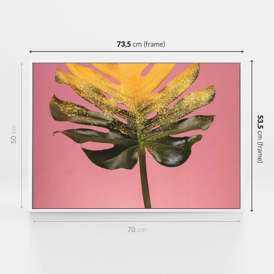 Obraz w ramie 70x50 - Majestatyczna monstera - monstera, liść - rama biała