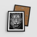 Plakat w ramie 40x50 - Tygrys Czarno-Biały: Siła i Delikatność - tygrys, czarno - rama czarna