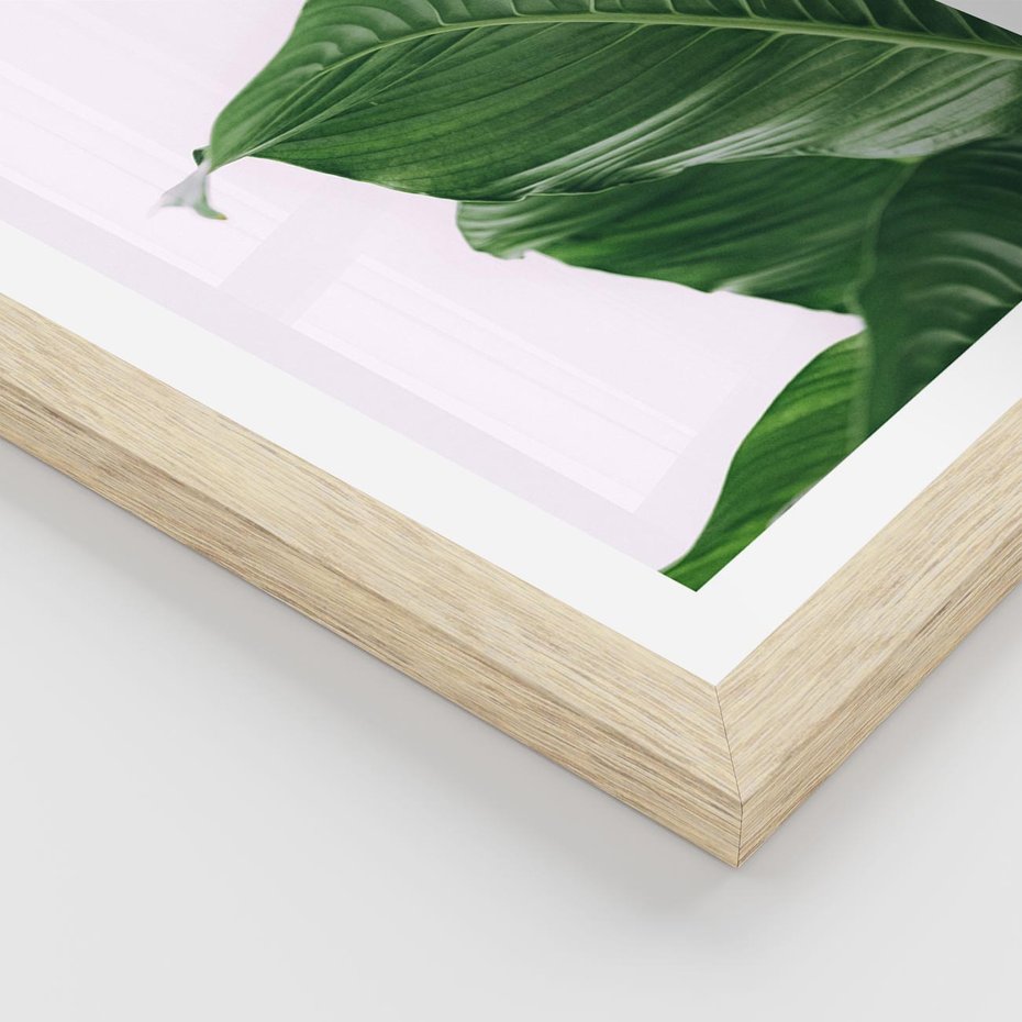 Plakat w ramie 30x40 - Zielone liście monstery - liście, monstera - rama drewno