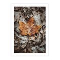 Plakat bez ramy 21x30 - Jesienne Czarowanie - suchy liść, żółty