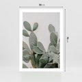 Plakat bez ramy 50x70 - Imponujący Kaktus - duży kaktus, opuncja