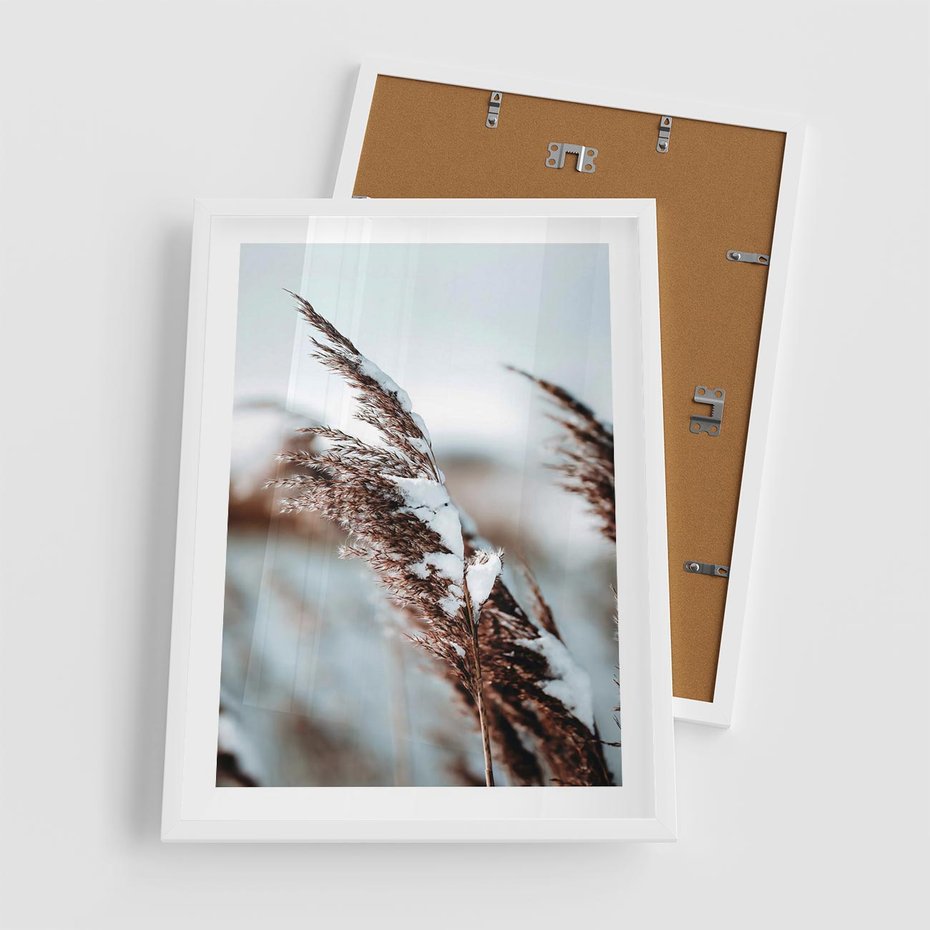 Plakat w ramie 50x70 - Zima na Suchych Trawach - suche trawy, śnieg wysokich na trawach - rama biała
