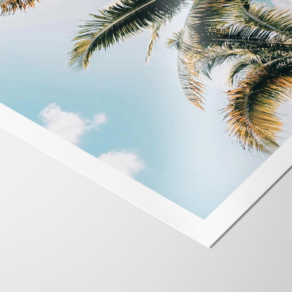 Plakat bez ramy 21x30 - Pod Błękitnym Niebem - palmy, ujęcie z dołu