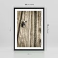 Plakat w ramie 50x70 - Sepia na Polu - kombajn, pole - rama czarna