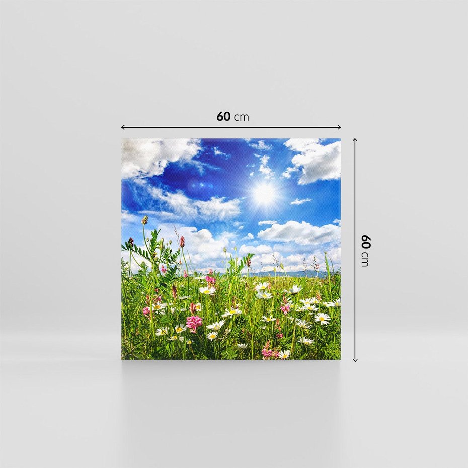Obraz na płótnie 60x60 - Niebiańska łąka pełna kwiatów - łąka, niebo