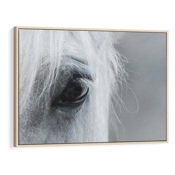 Obraz w ramie 70x50 - Oko Mocy - czarno białe zdjęcie, zbliżenie makro na oko konia - rama drewno