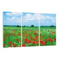 Obraz na płótnie 120x80 - Kolorowa łąka pełna maku - łąka, maki
