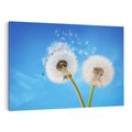 Obraz na płótnie 70x50 - wiatr pełen marzeń - dmuchawce, wiatr