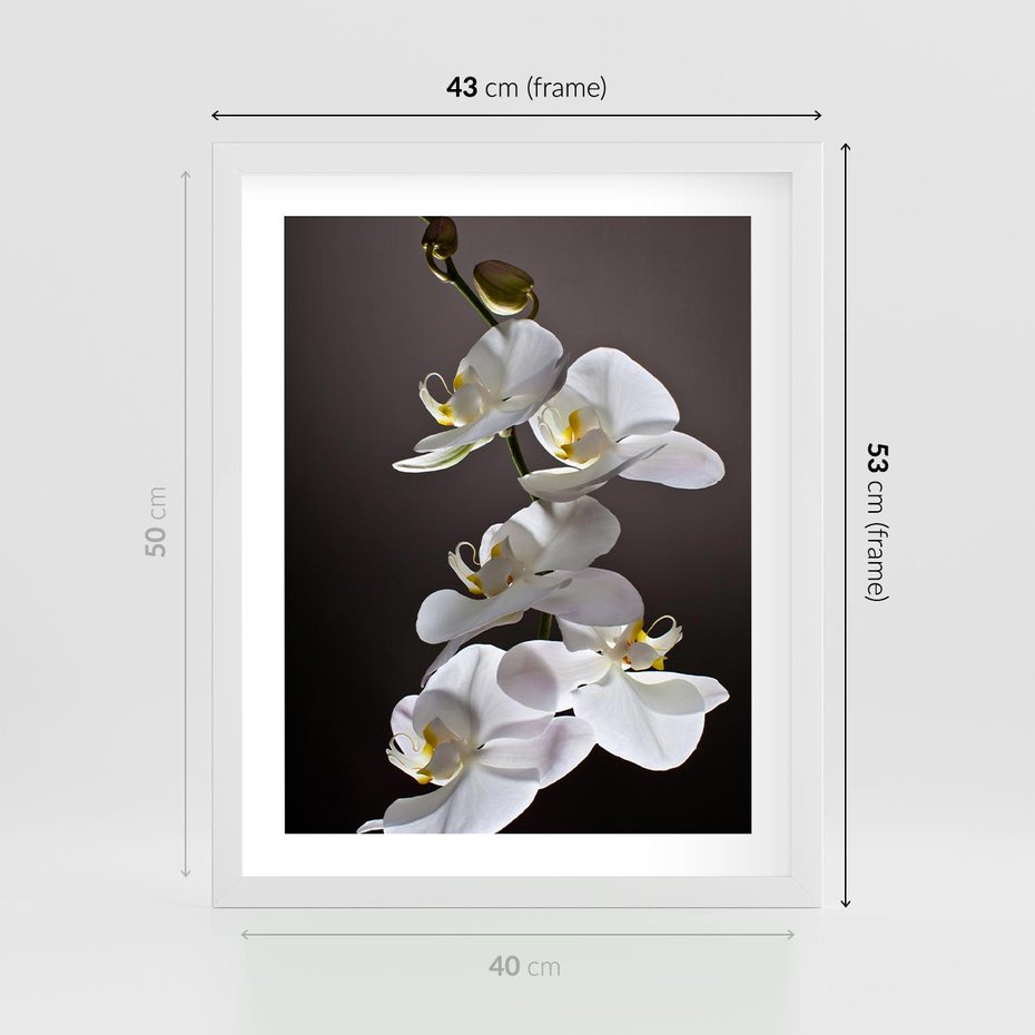 Plakat w ramie 40x50 - SPA: harmonia z kwiatami - spa, kwiaty - rama biała