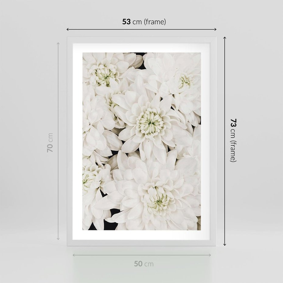 Plakat w ramie 50x70 - Białe Kwiaty: Płatki Delikatności - białe kwiaty, zbliżenie - rama biała