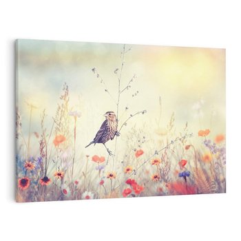 Obraz na płótnie 120x80 - Poranek wśród łąki - ptak, łąka