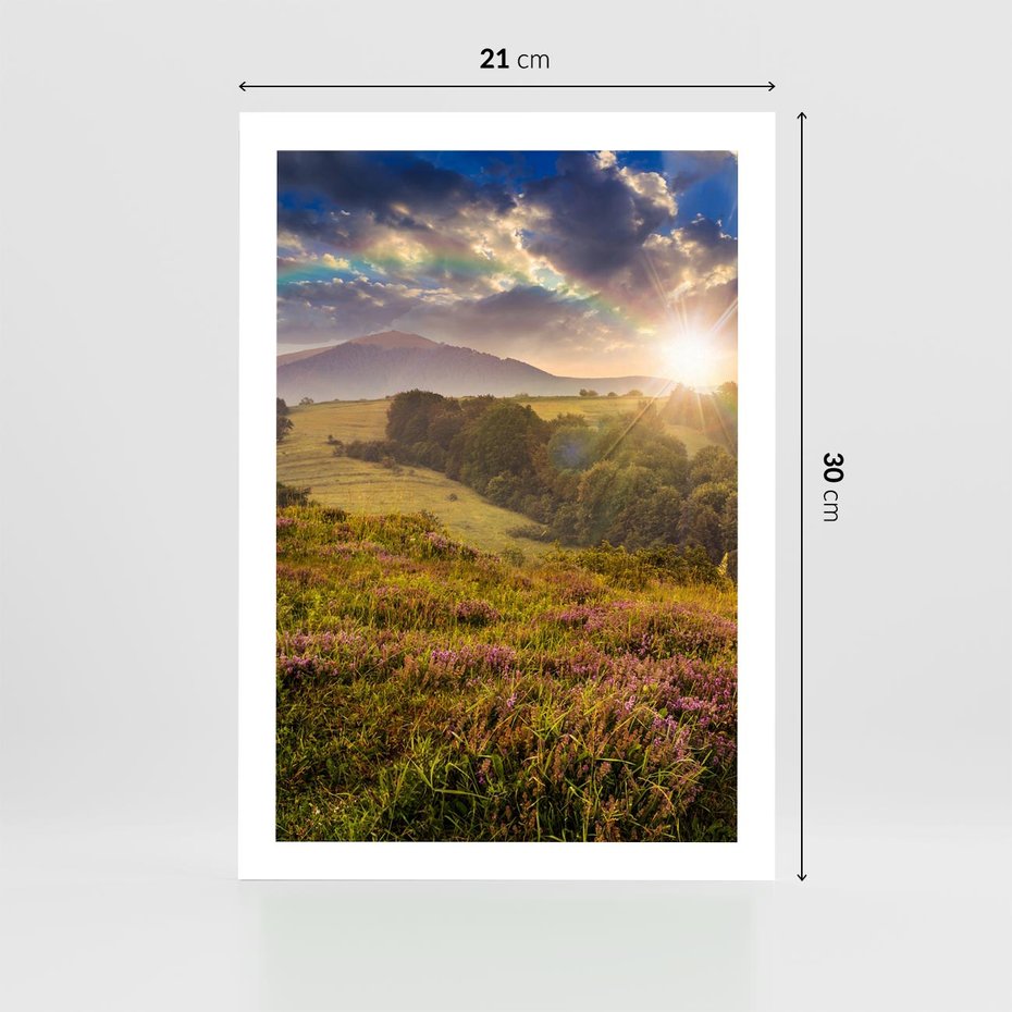 Plakat bez ramy 21x30 - Pejzaż na łące - pejzaż, łąka