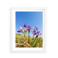 Plakat w ramie 40x50 - Kwiatowa siła łąki - kwiaty, łąka - rama biała