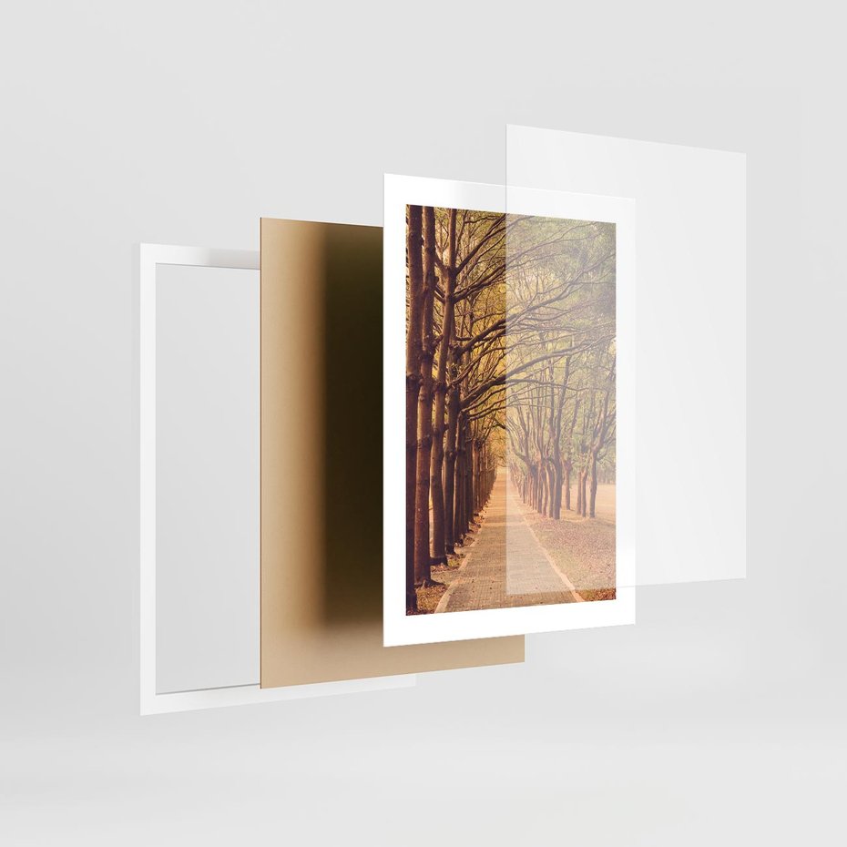 Plakat w ramie 30x40 - Wędrówka między drzewami - droga, drzewa - rama biała