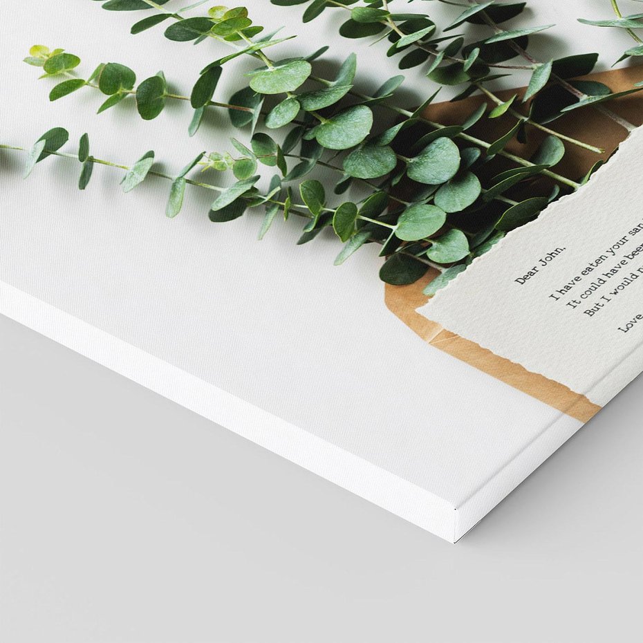 Obraz na płótnie 50x50 - Eukaliptusowa harmonia - eukaliptus, liście