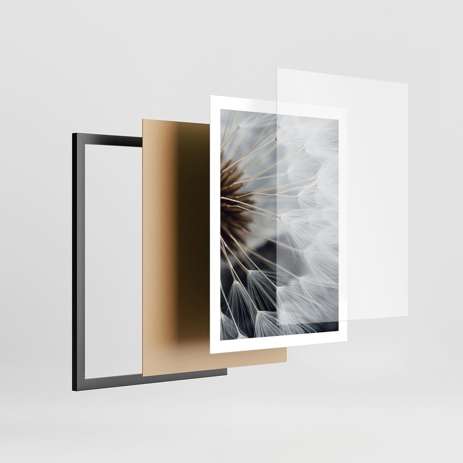 Plakat w ramie 50x70 - Dmuchawce w Naturze - dmuchawiec, zbliżenie - rama czarna