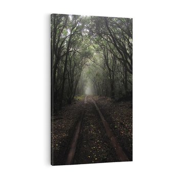 Obraz na płótnie 50x70 - Urok Drogi - las, droga