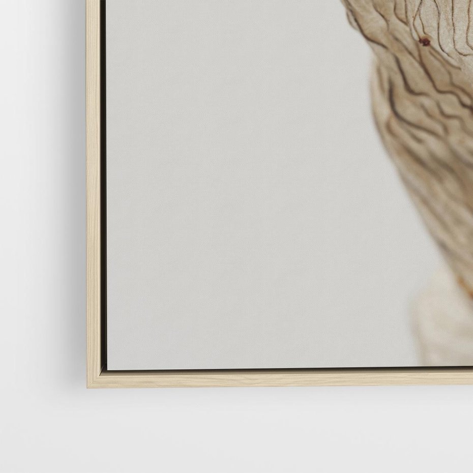 Obraz w ramie 50x50 - Suszone piękno - susz, suche - rama drewno