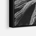 Obraz w ramie 50x50 - Siła Natury - czarno biała fotografia, korzenie wielkiego drzewa - rama czarna