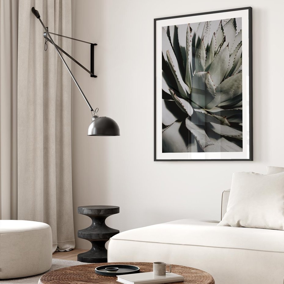 Plakat bez ramy 40x50 - Sukulenty wśród kaktusów - sukulenty, kaktusy